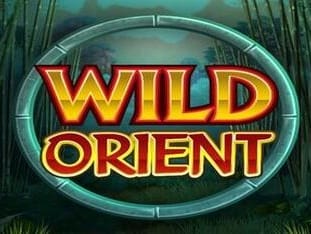 Wild Orient thumbnail